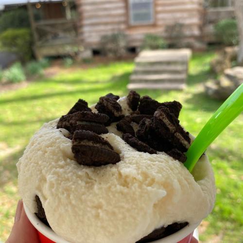 A close-up of a cup of ice cream topped with crushed cookies, set against a blurred outdoor background.