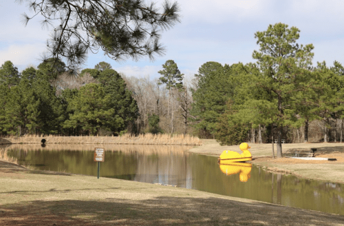 A serene pond surrounded by trees, featuring a large yellow duck float and a sign nearby.