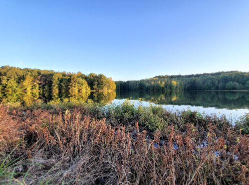 A serene lake surrounded by trees, reflecting the clear blue sky and autumn foliage.