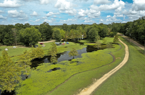 A scenic view of a campsite by a pond, surrounded by trees and a winding dirt path under a cloudy sky.