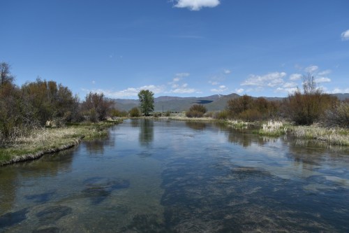 A serene river flows through a landscape of greenery and mountains under a clear blue sky with scattered clouds.