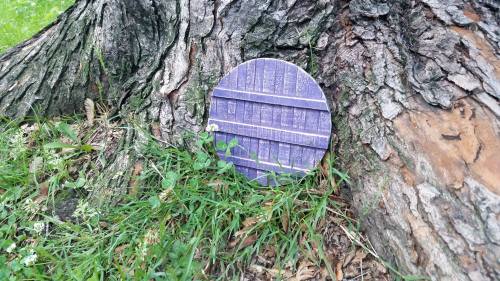 A circular purple object resembling a wooden sign rests against a tree trunk, surrounded by grass and small plants.