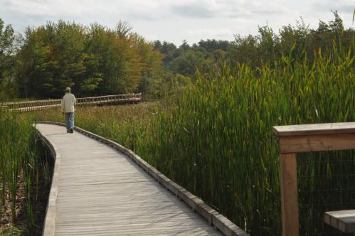 A person walks along a wooden boardwalk surrounded by tall green grasses and trees under a cloudy sky.
