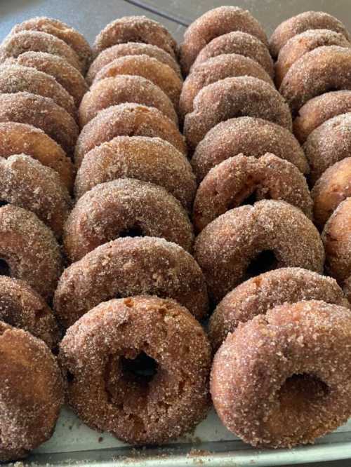 A close-up of a tray filled with freshly made, sugar-coated donuts arranged in neat rows.