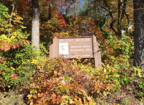 A wooden sign for Wildcat Wayside in a colorful autumn forest, surrounded by vibrant fall foliage.