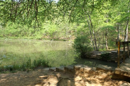 A serene lake surrounded by lush greenery, with a wooden path leading to the water's edge.