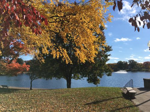 A serene lake surrounded by vibrant autumn trees with colorful leaves under a clear blue sky.