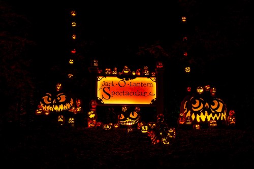 A display of illuminated jack-o'-lanterns with a sign reading "Jack-O'-Lantern Spectacular" in a dark setting.