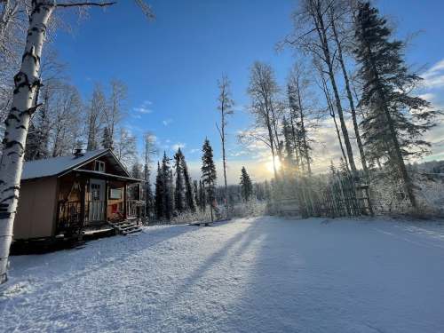 A cozy cabin surrounded by snow-covered trees, with sunlight streaming through the branches on a winter day.