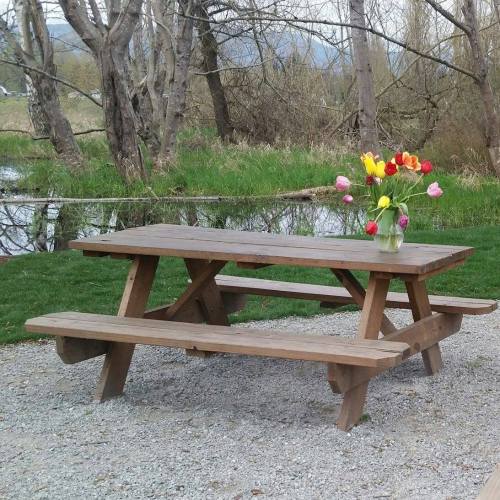 A wooden picnic table with a vase of colorful tulips, set by a serene pond surrounded by trees.