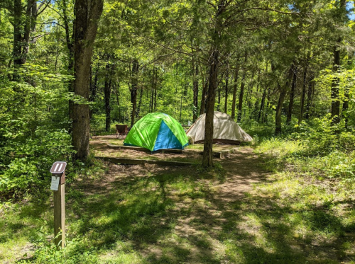 Two tents, one green and blue and the other beige, set up in a lush green forest with trees and a trail marker nearby.