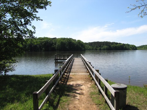 A wooden dock extends into a calm lake, surrounded by lush green trees under a clear blue sky.