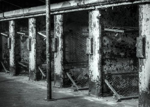Abandoned industrial space with rusted metal shelves and peeling paint, evoking a sense of decay and neglect.