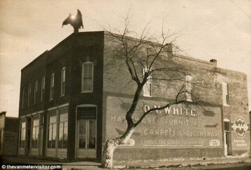 A vintage photo of a brick building with a large tree and a mysterious bat-like figure on the roof.
