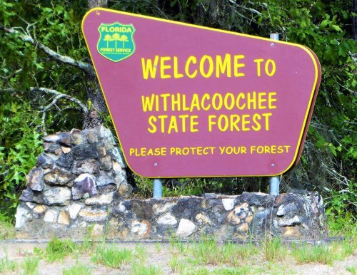 Sign welcoming visitors to Withlacoochee State Forest, urging them to protect the forest.