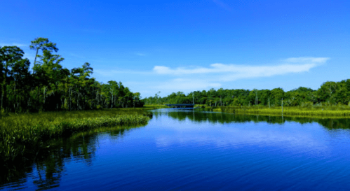 A serene landscape featuring a calm lake surrounded by lush greenery and a clear blue sky.