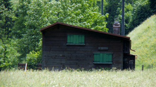 A rustic wooden cabin with green shutters, surrounded by lush greenery and tall grass.