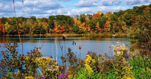 A serene lake surrounded by colorful autumn trees and wildflowers, with two people fishing in the distance.