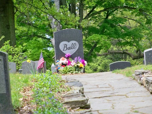 A gravestone marked "Ball" surrounded by flowers and an American flag, set in a peaceful cemetery.