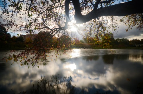 A serene lake scene with sunlight filtering through tree branches, reflecting on the water's surface and cloudy sky.