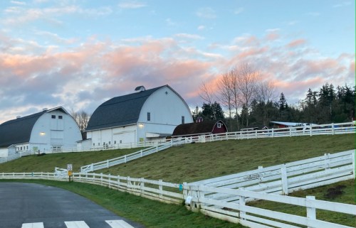 A scenic view of a farm with white barns, a red barn, and a grassy area under a colorful sky at dusk.