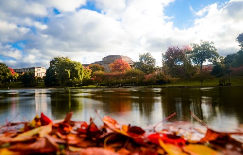 A serene lake surrounded by colorful autumn foliage and a cloudy blue sky, with fallen leaves in the foreground.