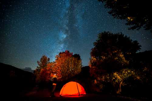 A person stands near an orange tent under a starry sky, surrounded by trees illuminated by soft light.