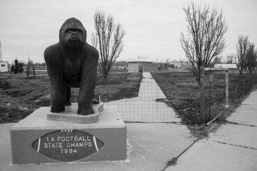 A large gorilla statue stands on a pedestal, marking a football championship, with a barren landscape in the background.