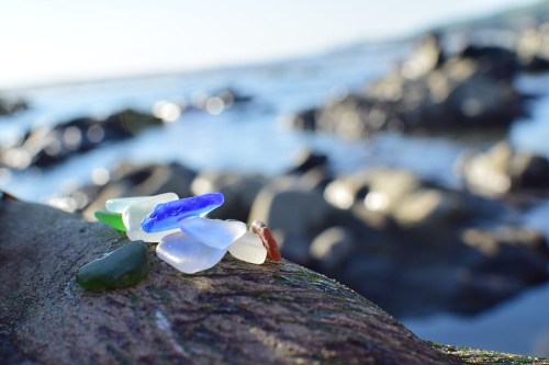 Colorful sea glass pieces arranged on a weathered log, with a blurred ocean and rocky shore in the background.