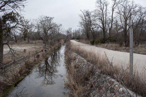 A narrow, overgrown canal runs alongside a gravel road, with bare trees and a cloudy sky in the background.