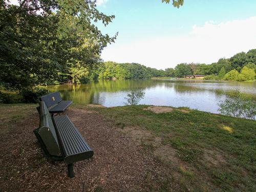 A serene park scene featuring a bench by a calm lake surrounded by lush greenery and trees.