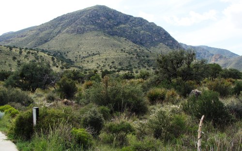 A scenic view of a mountainous landscape with green vegetation and a clear sky.