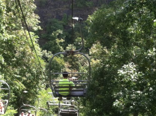 A person in a bright shirt rides a chairlift through a lush, green forest.