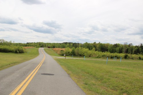 A winding road leads through green fields under a cloudy sky, with trees lining the horizon.