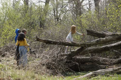 Four children explore a wooded area, climbing on fallen logs and surrounded by greenery.