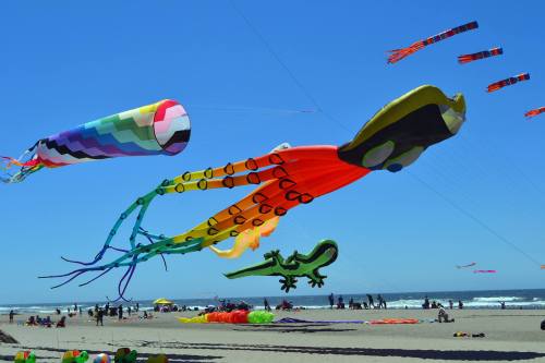 Colorful kites, including a large octopus and a lizard, fly over a beach with people enjoying the sunny day.