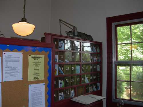 A cat rests on top of a cabinet with glass doors, surrounded by a bulletin board and a window with greenery outside.