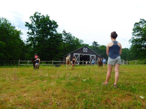 A person stands in a field watching others ride horses near a barn surrounded by trees.