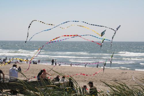 Colorful kites flying above a beach with people enjoying the sun and waves in the background.
