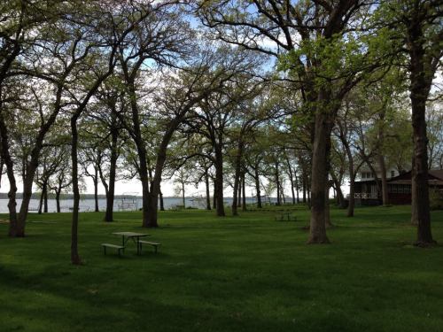 A serene park with green grass, scattered trees, and a view of a lake in the background, featuring a wooden building.