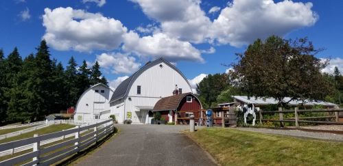 A scenic farm with white barns, a red barn, and a horse, set against a blue sky with fluffy clouds and green trees.