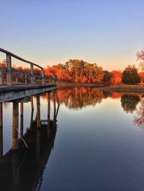 A wooden pier extends over a calm lake, reflecting autumn trees and a clear sky at sunset.