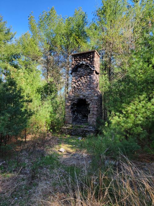 A stone chimney stands amidst tall green trees and underbrush, surrounded by a serene forest setting.