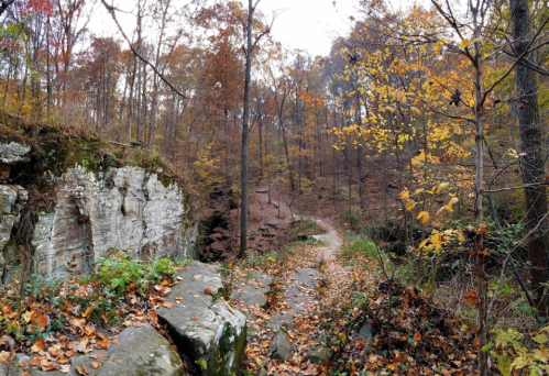 A winding path through a forest with autumn leaves, rocky outcrops, and trees in warm fall colors.