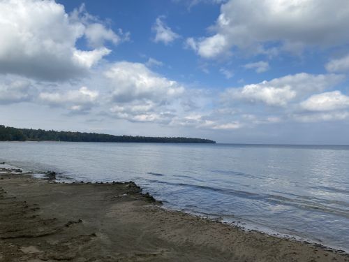 A calm shoreline with gentle waves, under a partly cloudy sky and lush green trees in the distance.