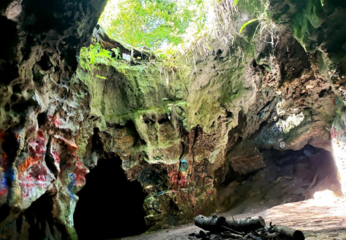 A rocky cave interior with green foliage above and colorful graffiti on the walls, featuring a sandy floor and logs.
