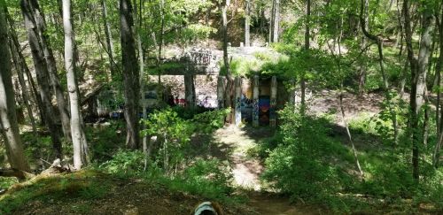 Abandoned structure covered in graffiti, surrounded by lush green trees and foliage in a forested area.