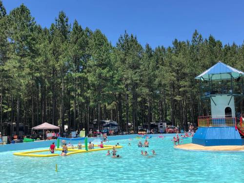 A sunny pool scene with people swimming and playing, surrounded by tall trees and a lifeguard tower.