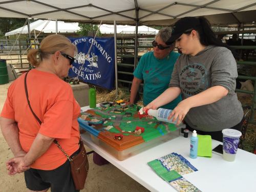 Three women examine a colorful display on a table, discussing details under a tent at an outdoor event.