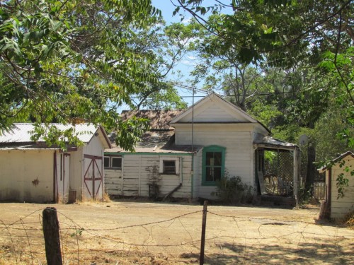 A weathered white house with a green door, surrounded by trees and dry grass, with a small shed nearby.